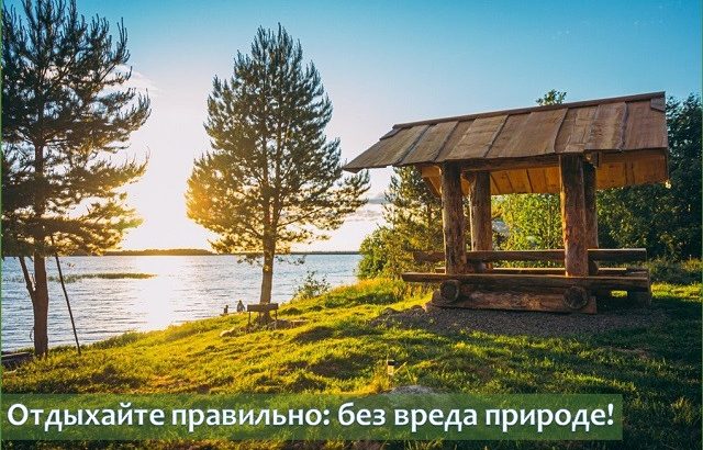 отдых на природе