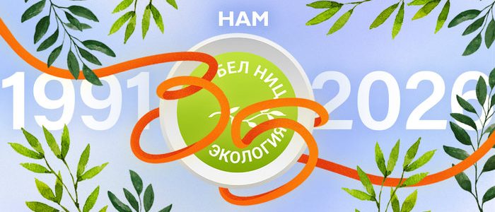 Дизайн без названия - 10
